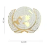 Embleem Verenigde Naties detail Embleem Verenigde Naties afmeting