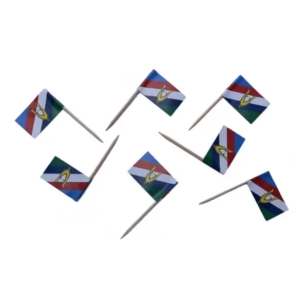 50 houten prikkers veteranenvlag