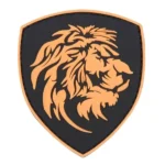 Patch 3D PVC Nederlandse leeuw oranje