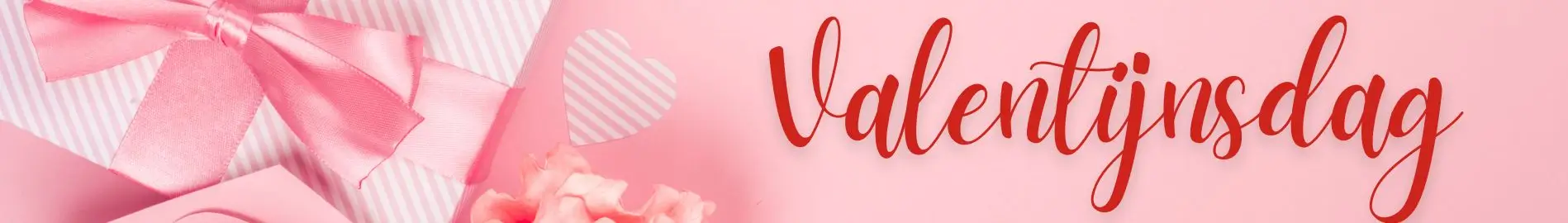 Valentijnsdag banner